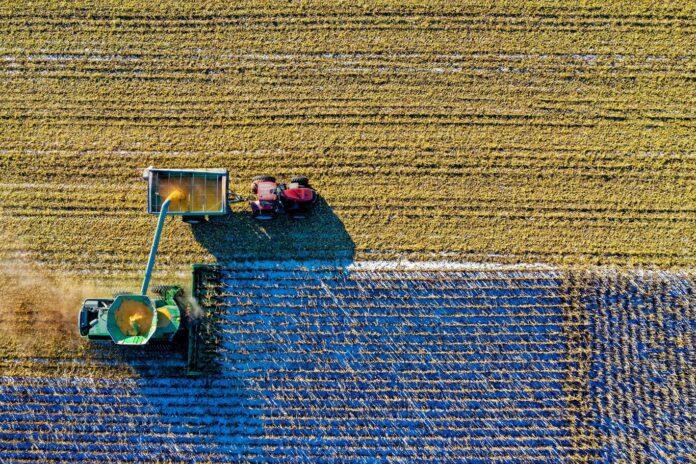 Post-Brexit: Surge in Pesticide Residues on UK Food Raises Health Concerns