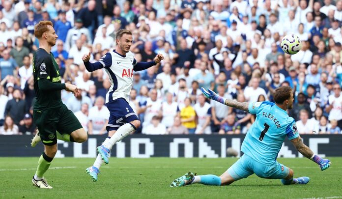 Premier League Highlights: Tottenham, Liverpool Secure Wins in Action-Packed Matches